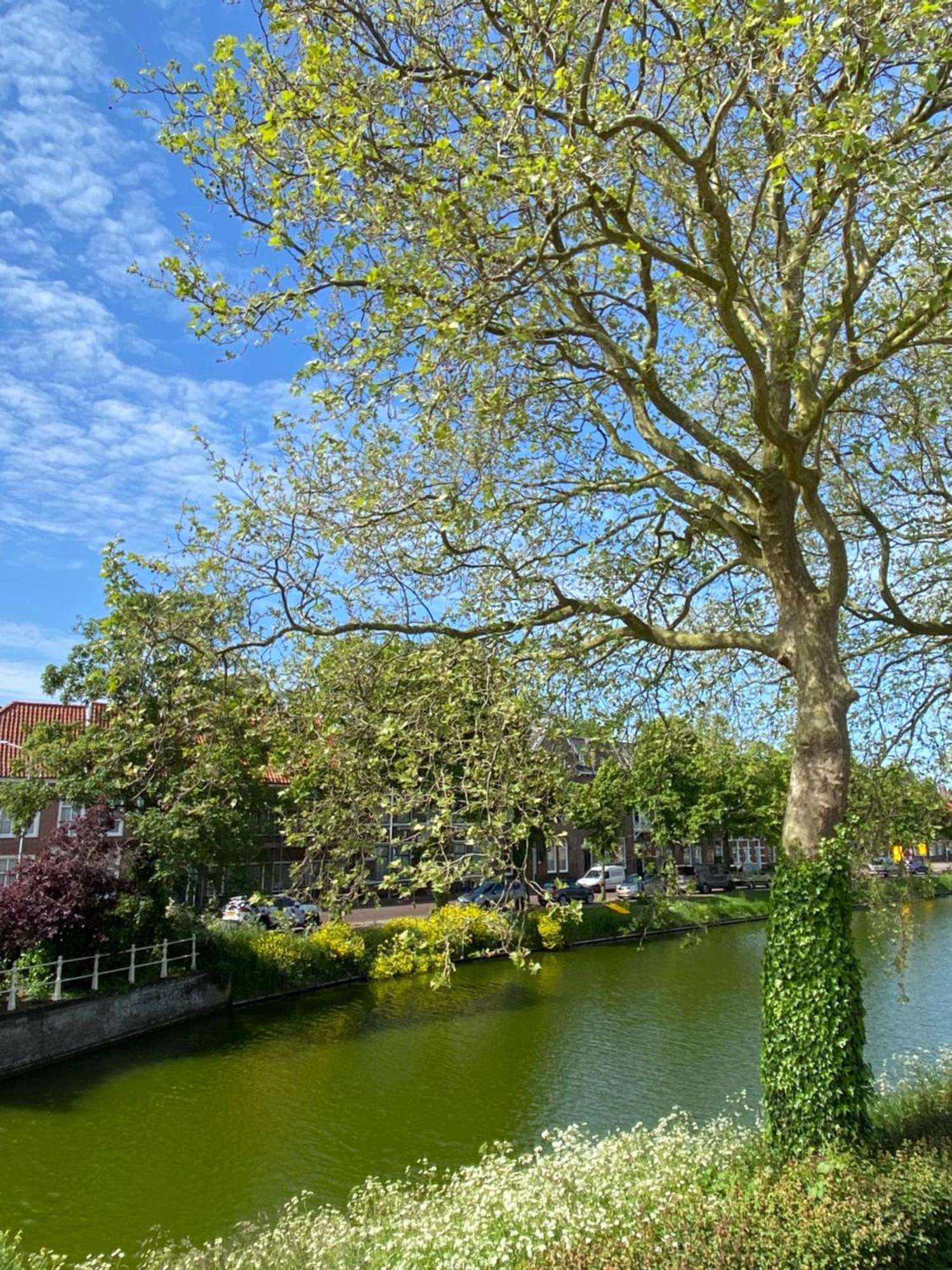 Kromme Weele 26 Middelburg Exteriör bild